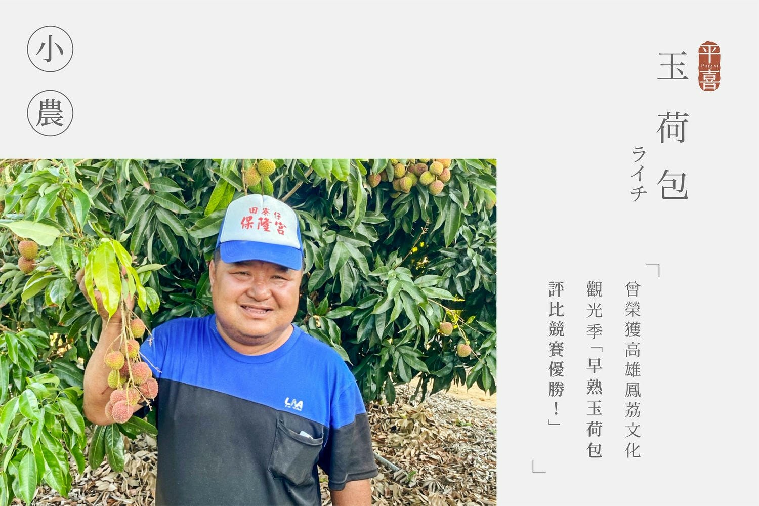 荔枝加字中文-22.jpg