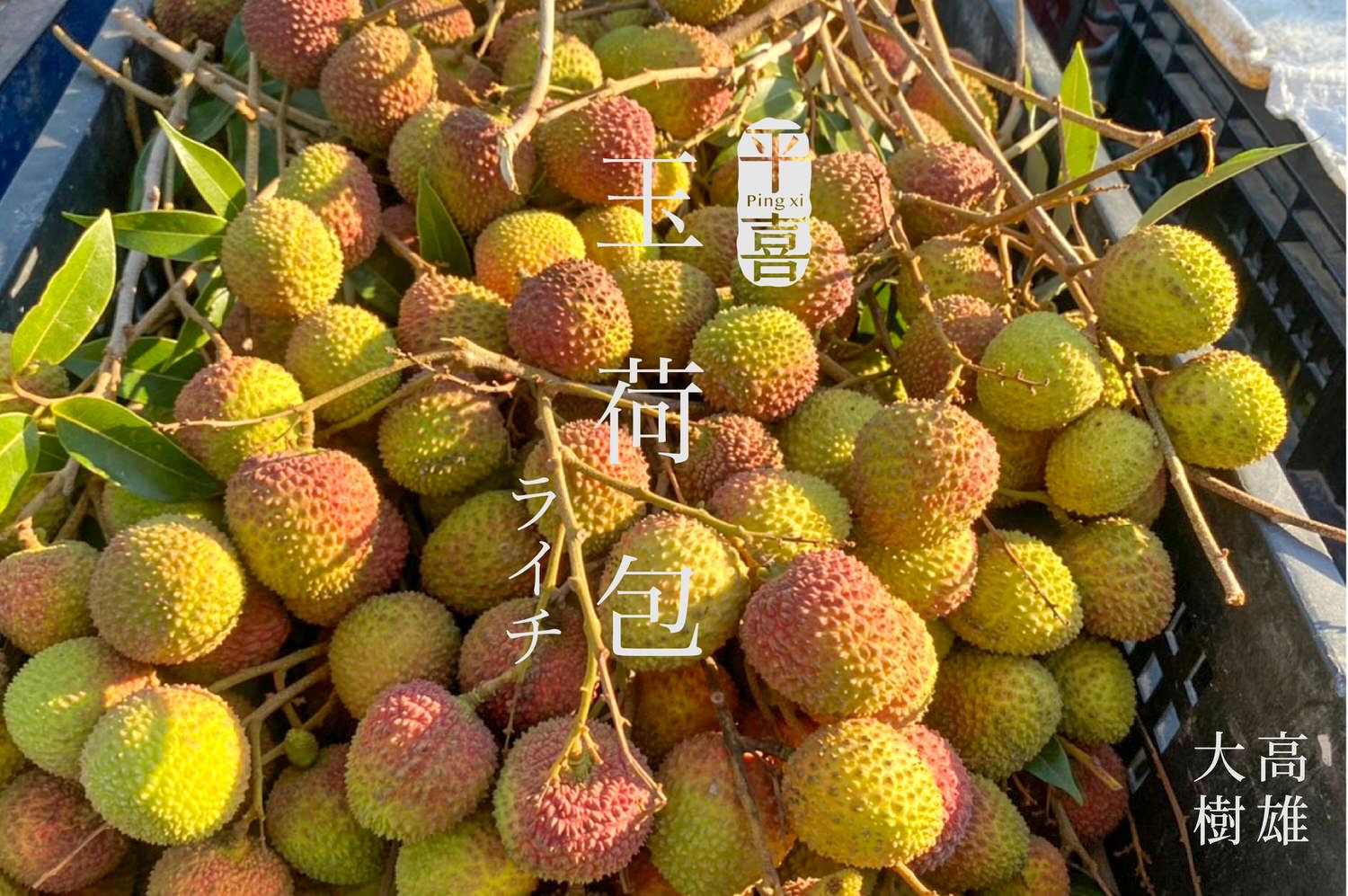 荔枝加字中文-19.jpg