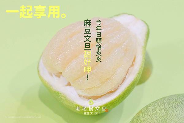 麻豆老欉