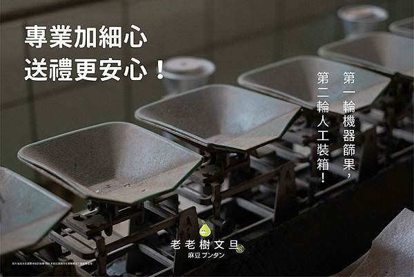 麻豆老欉