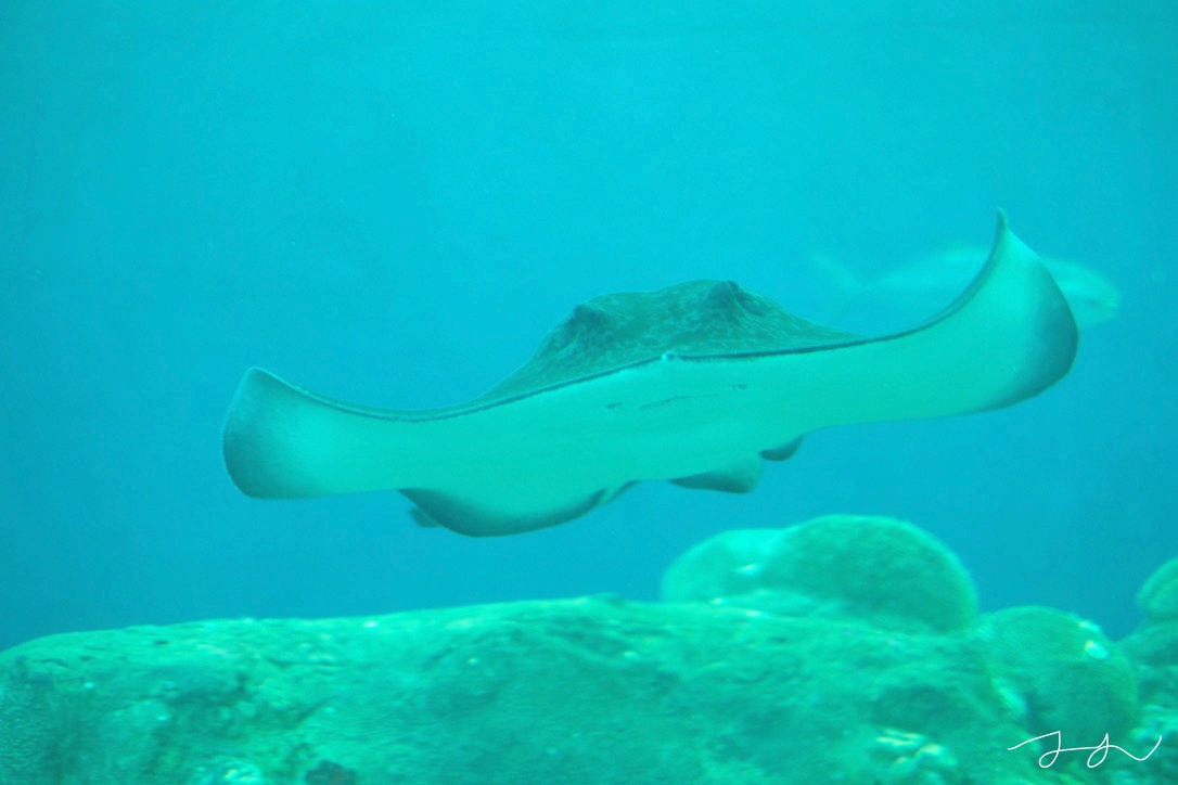 澎湖水族館