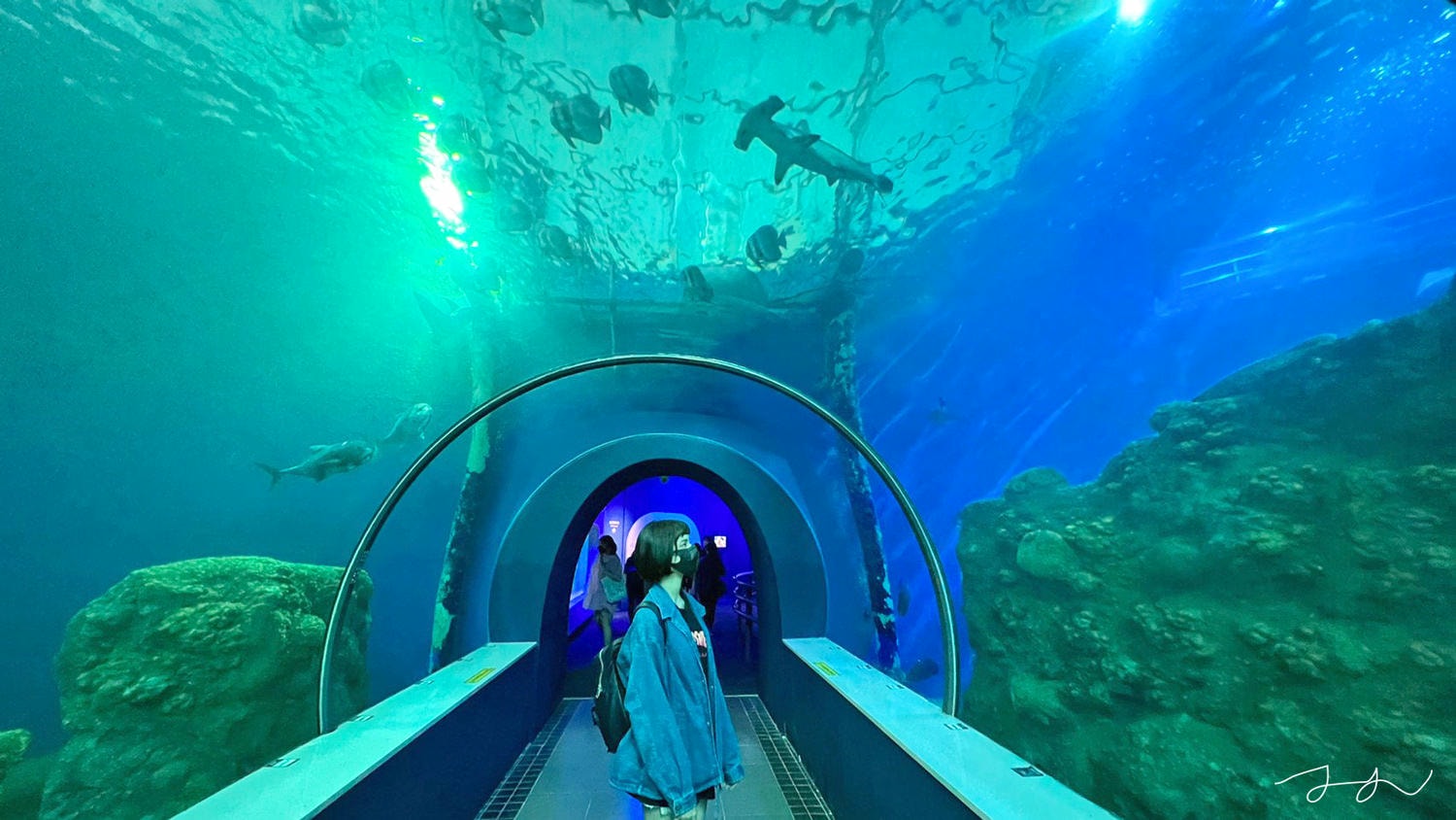 澎湖水族館