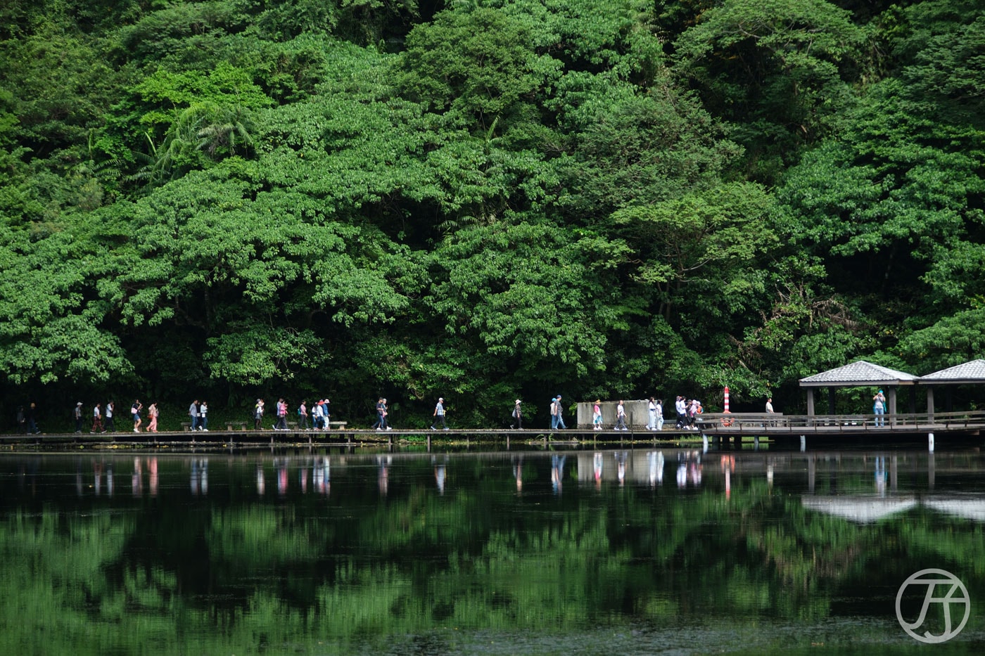 東洋銘珠 宜蘭賞鯨豚龜山島登島