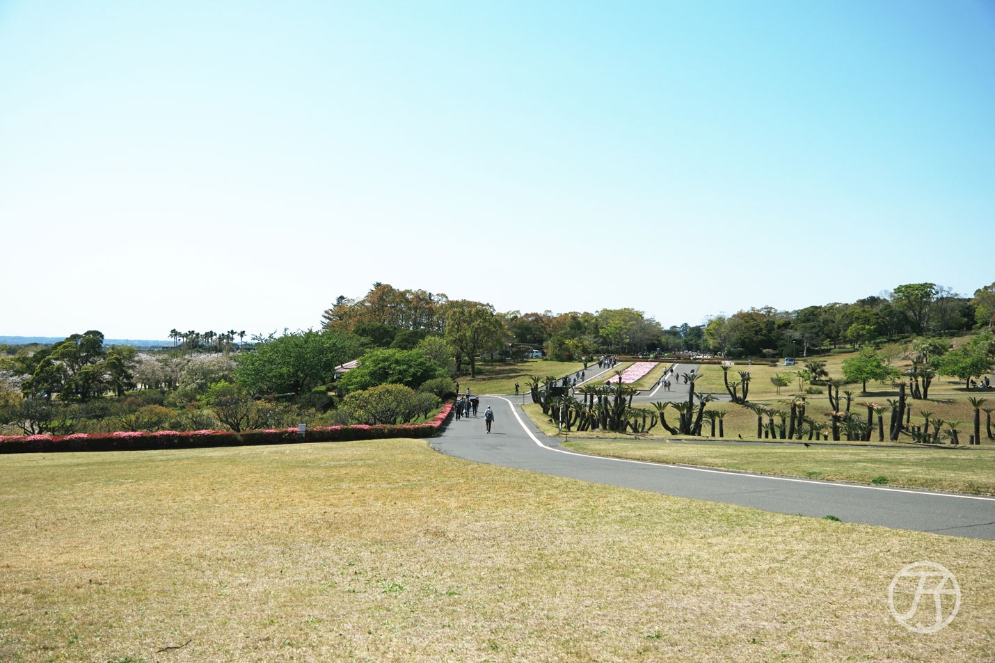 吉野公園