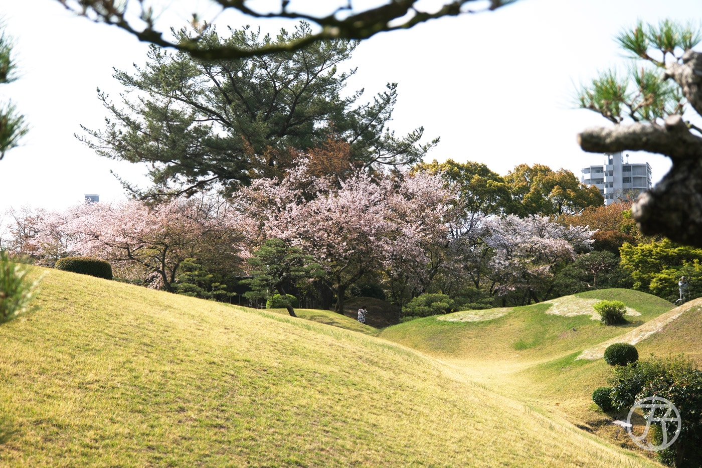 水前寺成趣園
