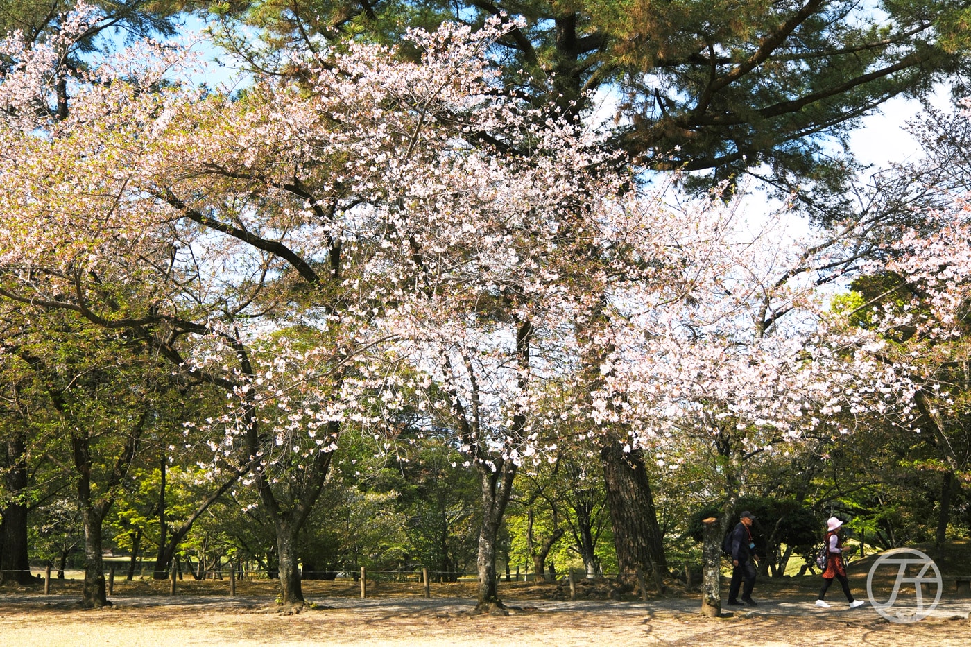 水前寺成趣園