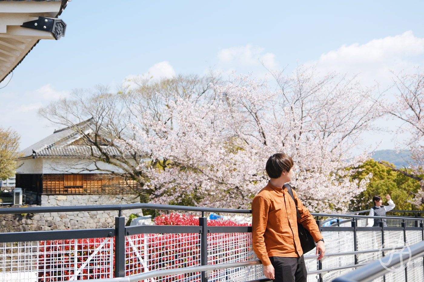 熊本城