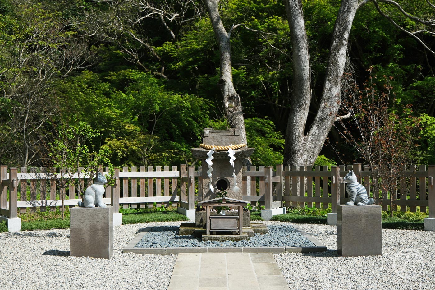 貓咪神社