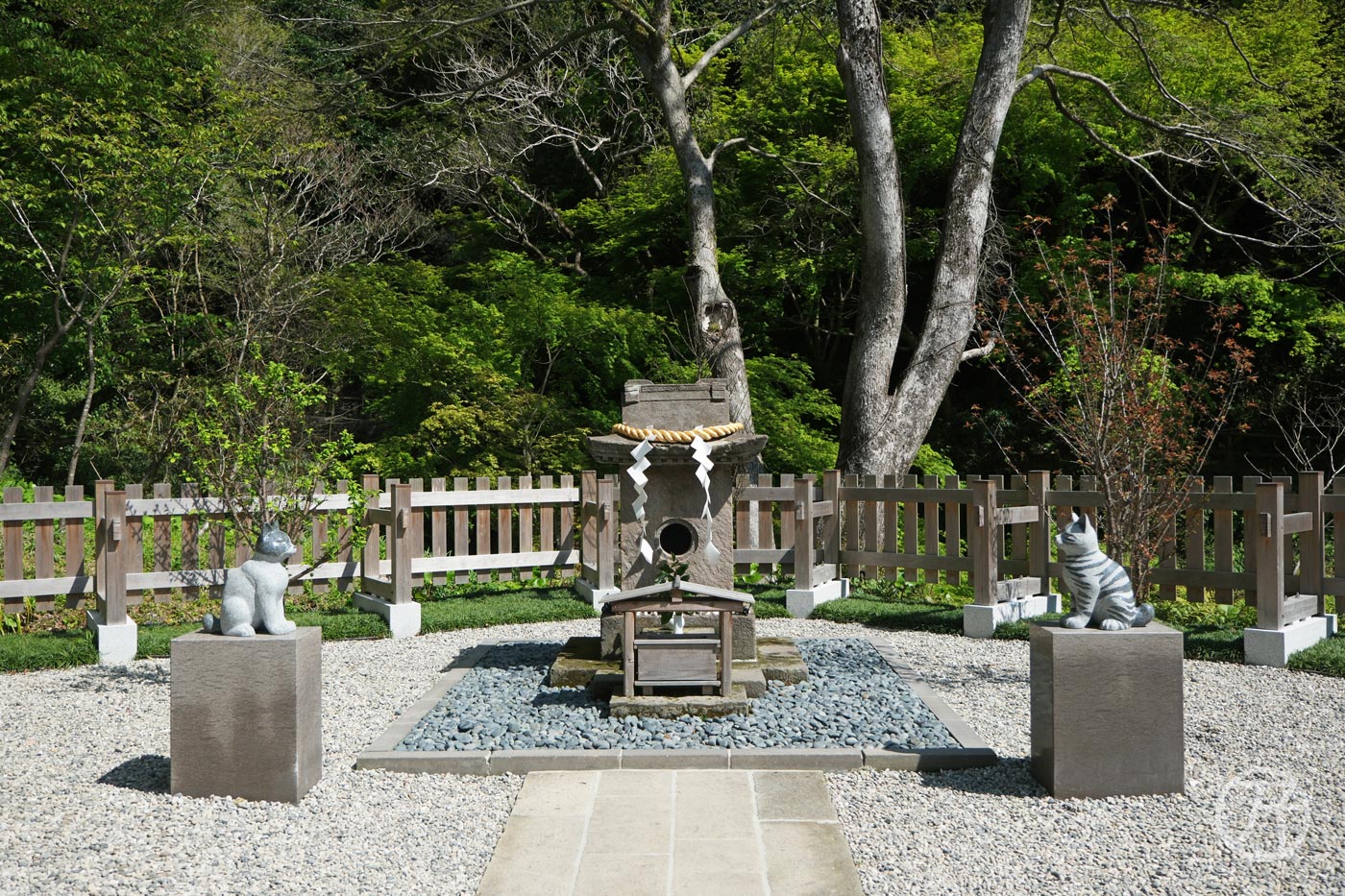 貓咪神社