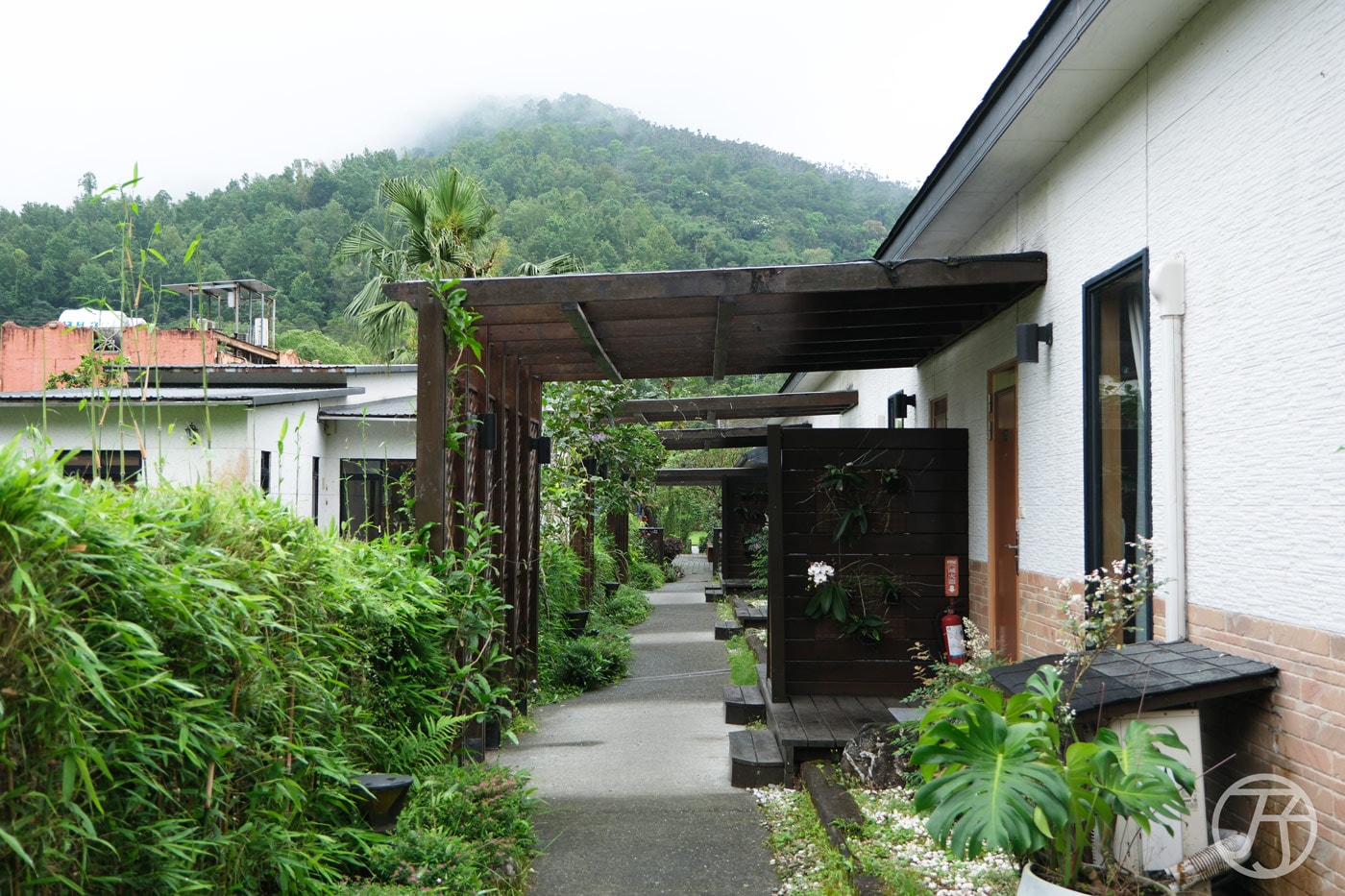 潭心閣民宿,悠遊花蓮壽豐一泊一食民宿,鯉魚潭親子住宿賞螢火蟲首選 - 第8張圖
