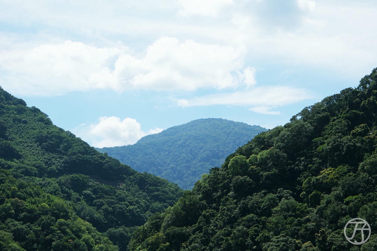 北橫貫下巴陵溫泉山莊,桃園拉拉山家庭旅遊與團體旅客一泊一食推薦,入住還享溫泉Spa湯屋與自助早餐 - 第59張圖