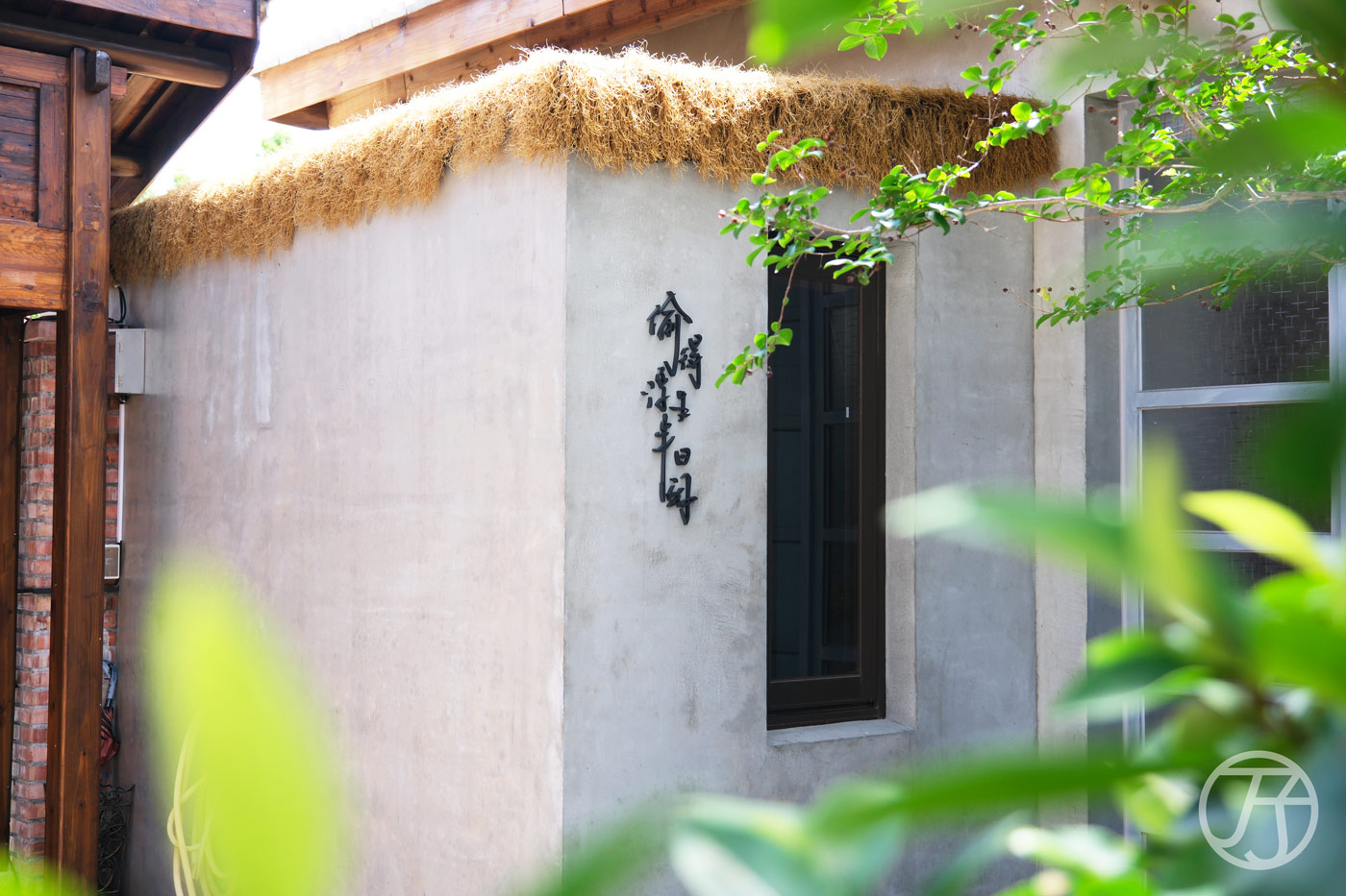 樹沐漱石民宿,網路評價4.9顆星,台南安平區108年老宅,化身寵物友善綠意美學包棟民宿 - 第88張圖