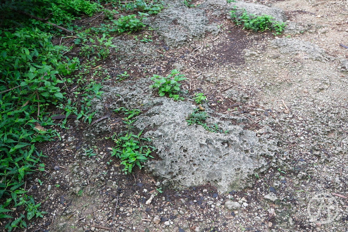 龜山步道