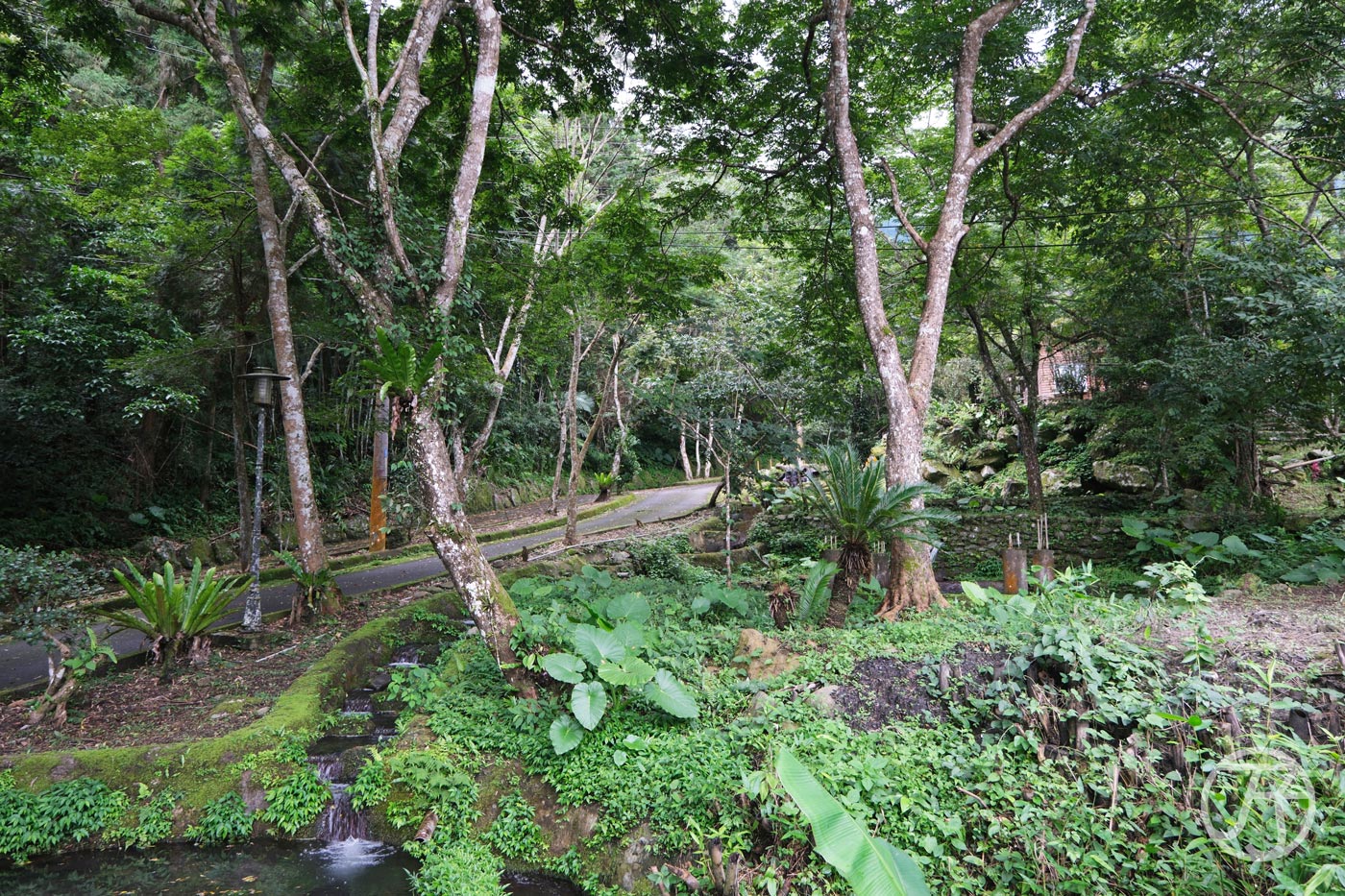 新竹尖石溫泉 新月塢溫泉