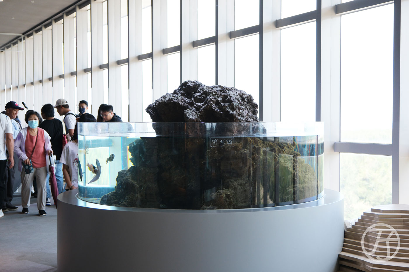 台中海洋館淺灘珊瑚礁潮間帶區
