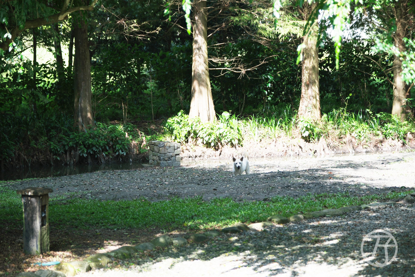 南投埔里民宿慎重開華莊園民宿