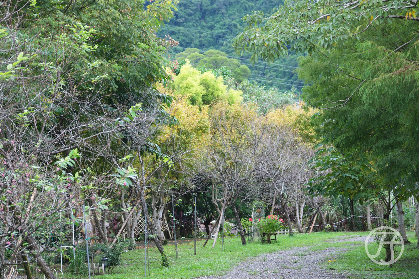 宜蘭民宿 布魯克森林
