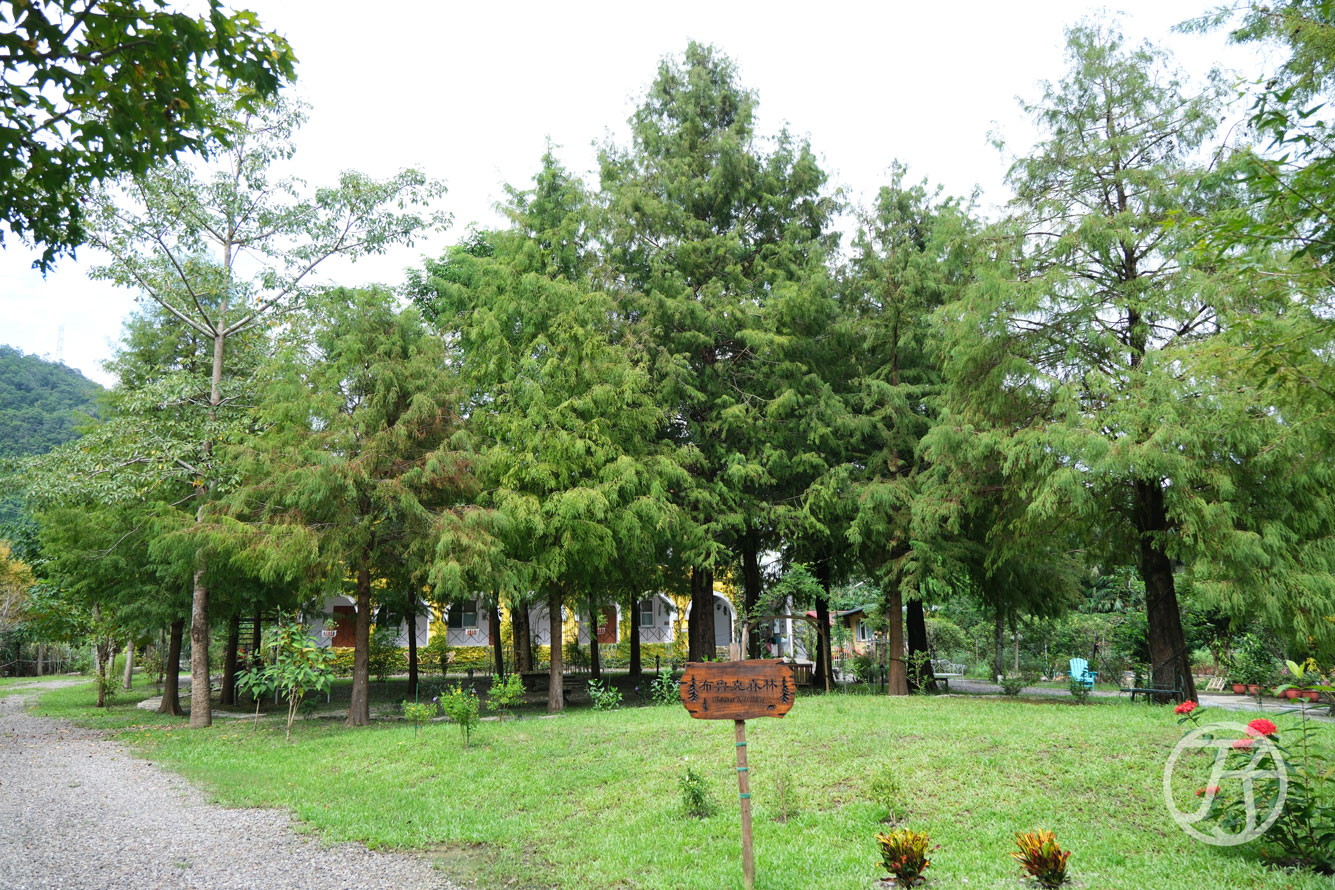 宜蘭民宿 布魯克森林