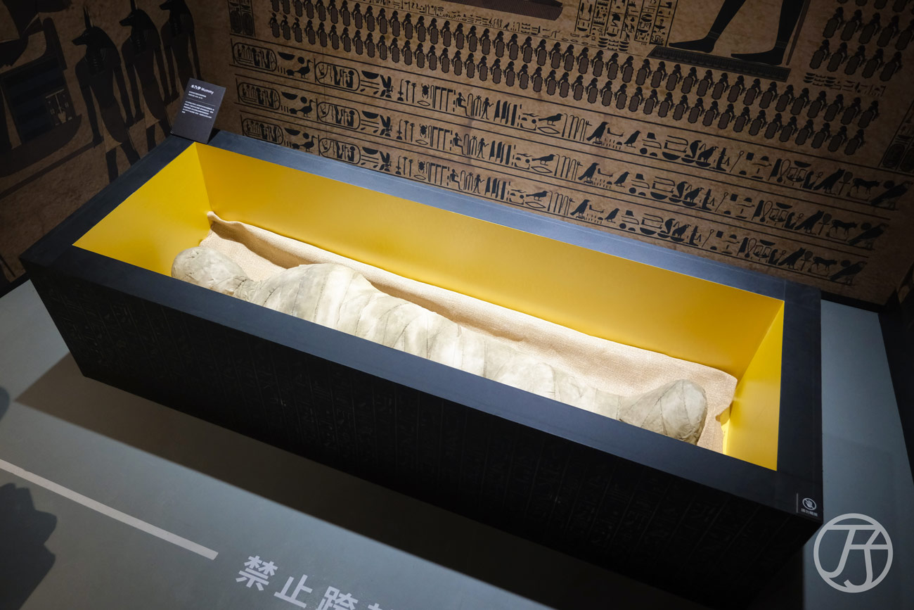 2026年台北華山展覽 世界古文明沉浸體驗展