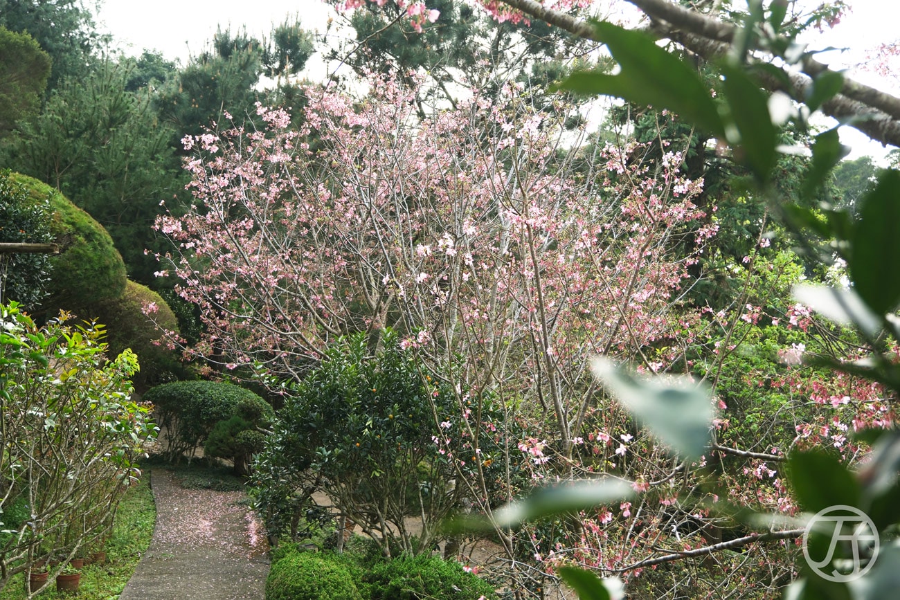 苗栗公館民宿草山境