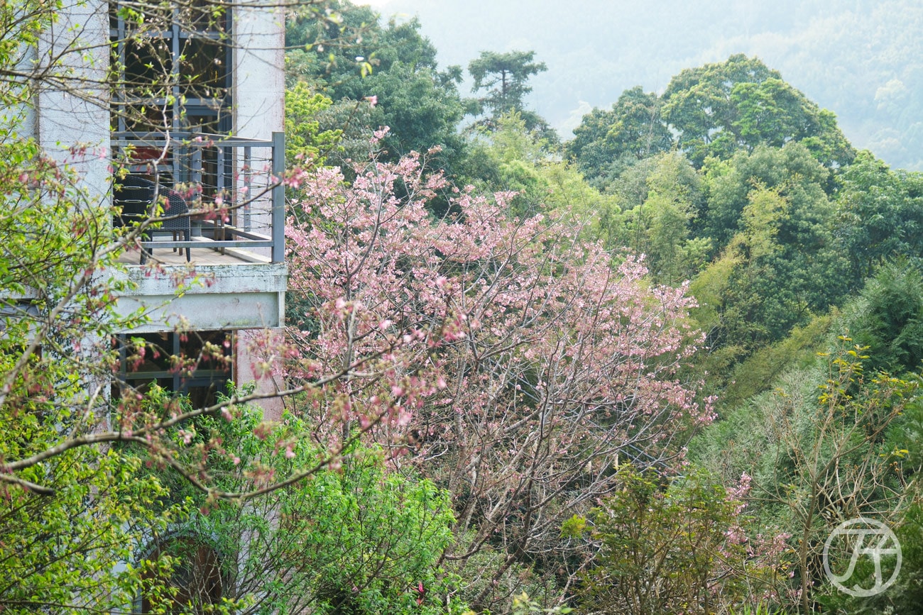 苗栗公館民宿草山境