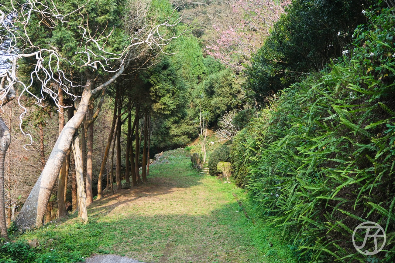 苗栗公館民宿草山境