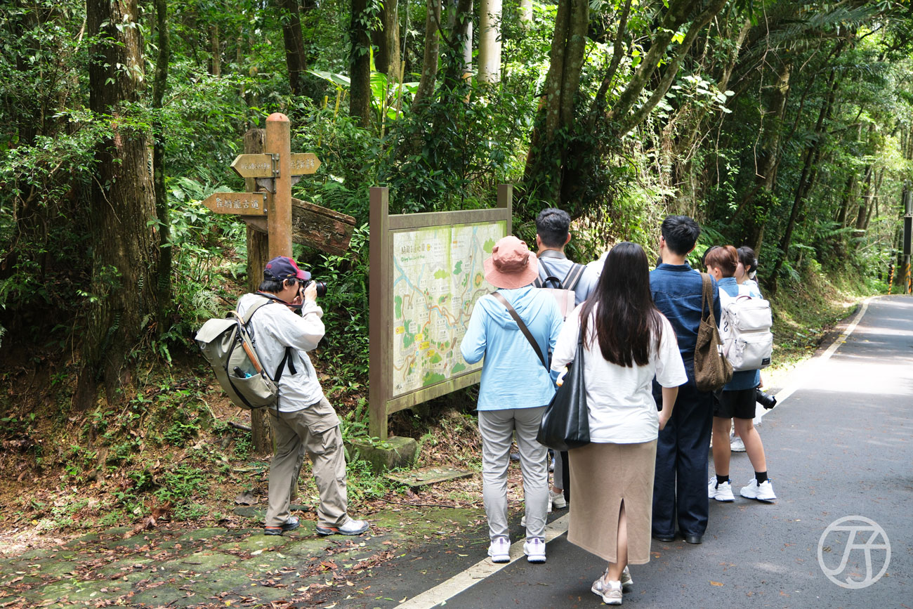 竹北景點 騎龍古道、賞桐花、糯米橋