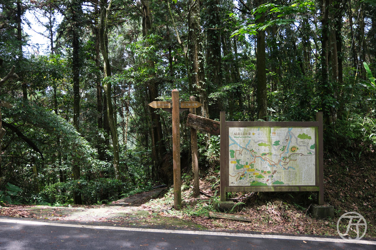 竹北景點 騎龍古道、賞桐花、糯米橋