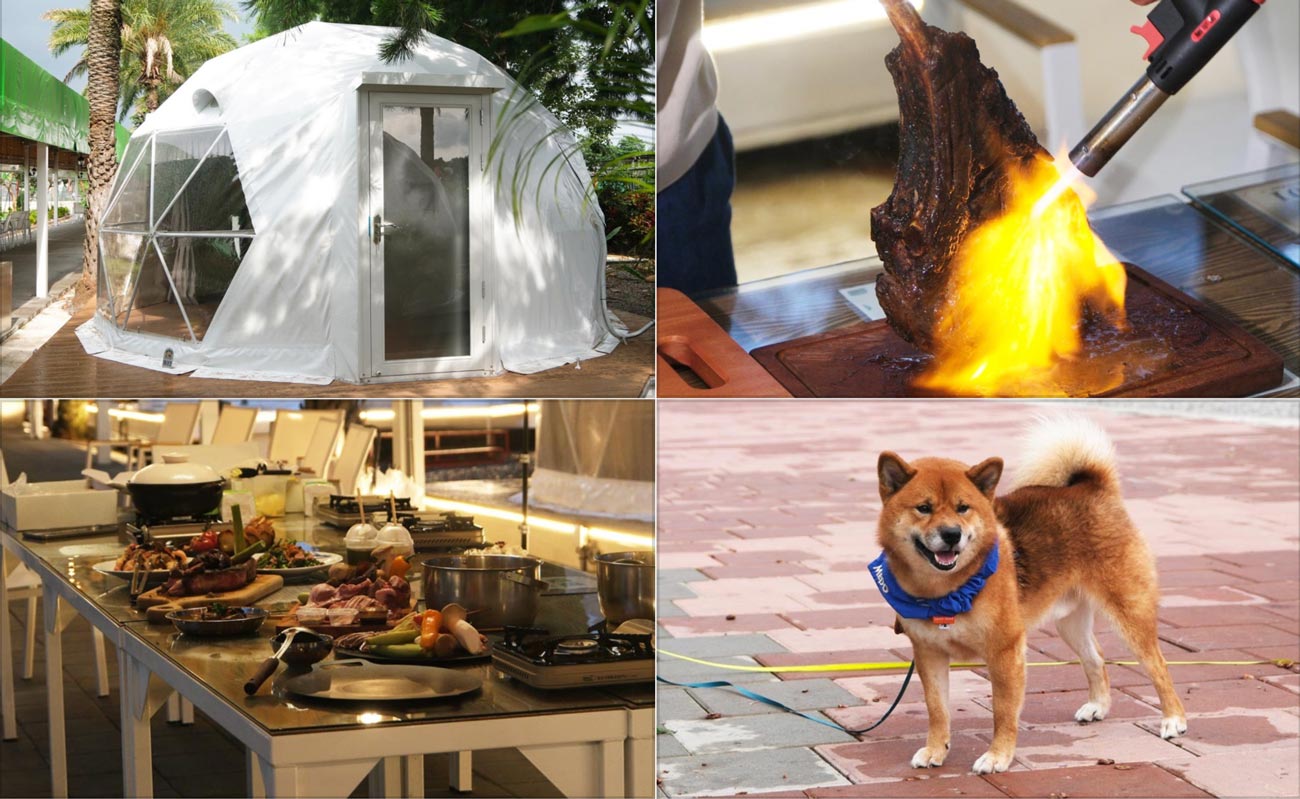 苗栗懶人露營Glamping 綺美度假露營區
